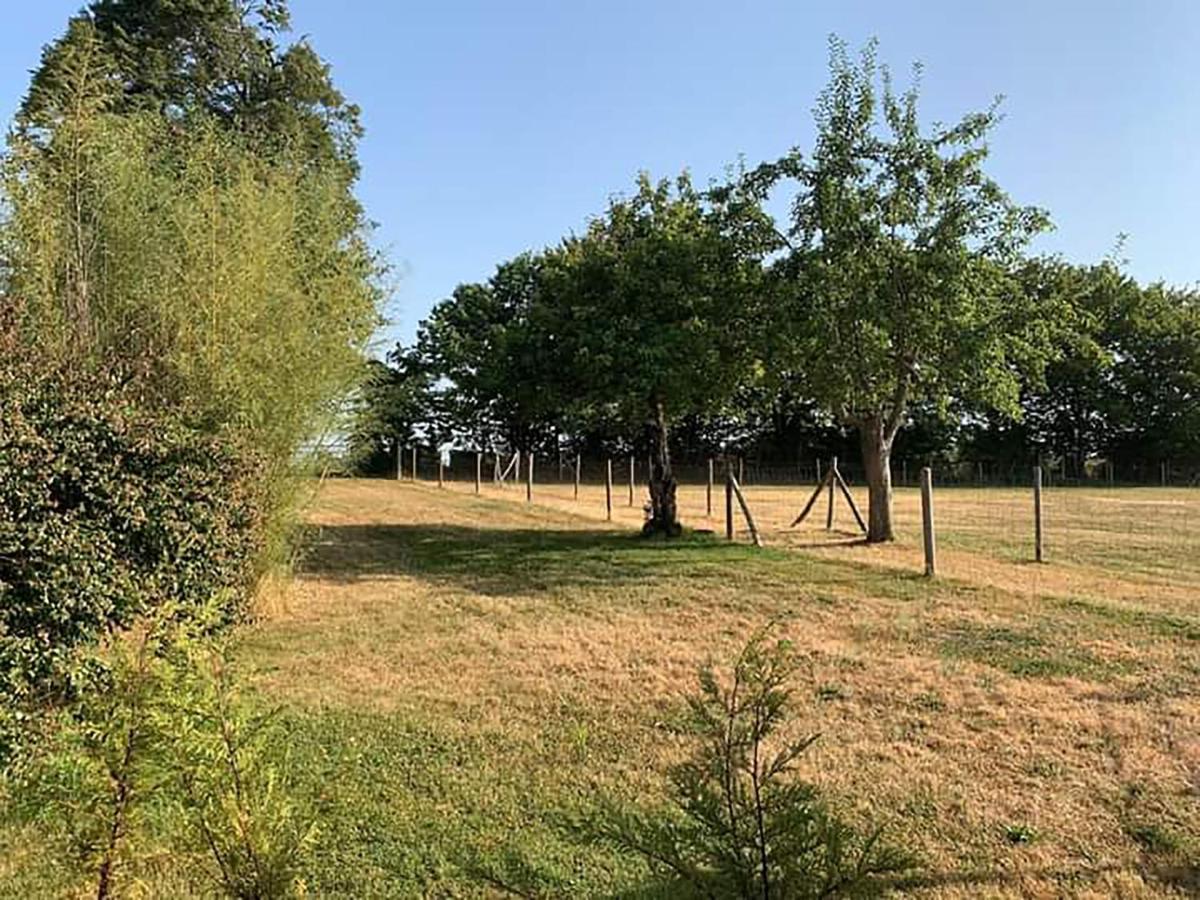The Alpaca B&B Chalais  Экстерьер фото