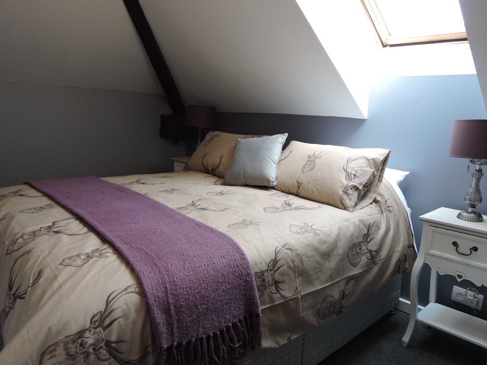The Alpaca B&B Chalais  Экстерьер фото